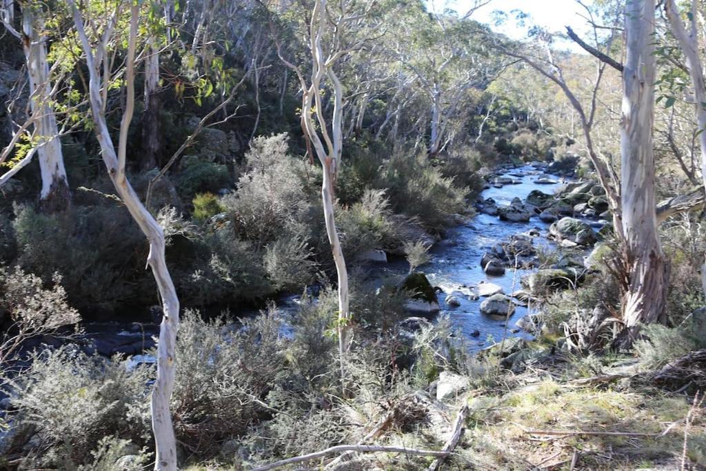 Big Yard Escapes - Two Off-Grid Tiny Houses On The Mowamba River Jindabyne Zewnętrze zdjęcie
