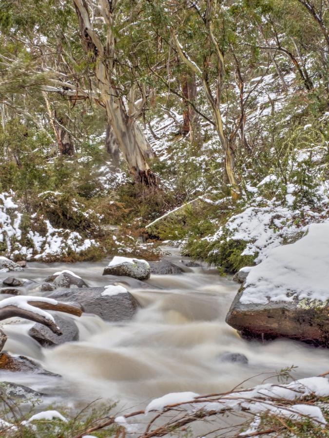 Big Yard Escapes - Two Off-Grid Tiny Houses On The Mowamba River Jindabyne Zewnętrze zdjęcie