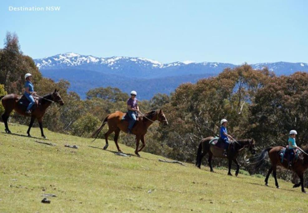 Big Yard Escapes - Two Off-Grid Tiny Houses On The Mowamba River Jindabyne Zewnętrze zdjęcie