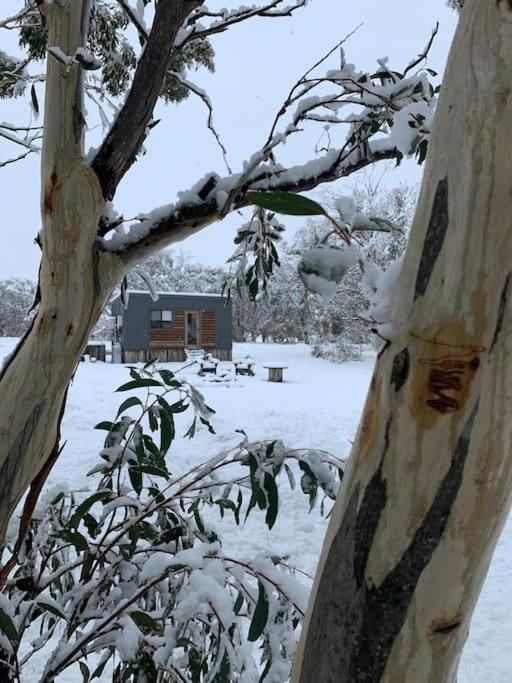 Big Yard Escapes - Two Off-Grid Tiny Houses On The Mowamba River Jindabyne Zewnętrze zdjęcie
