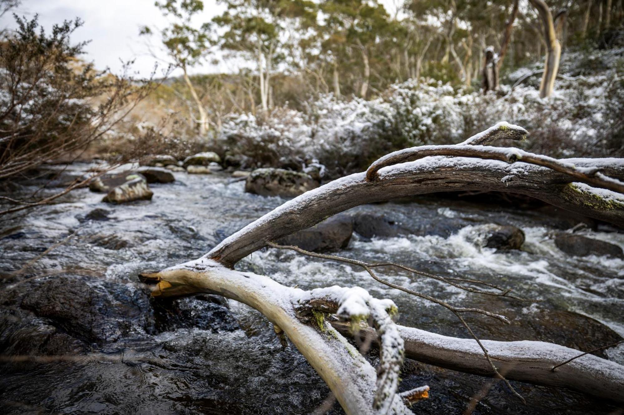Big Yard Escapes - Two Off-Grid Tiny Houses On The Mowamba River Jindabyne Zewnętrze zdjęcie